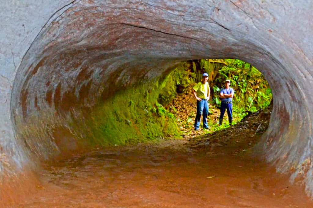 Tunnel géant ou structure paléoterrier en Argentine et au Brésil, façonné par le paresseux géant.