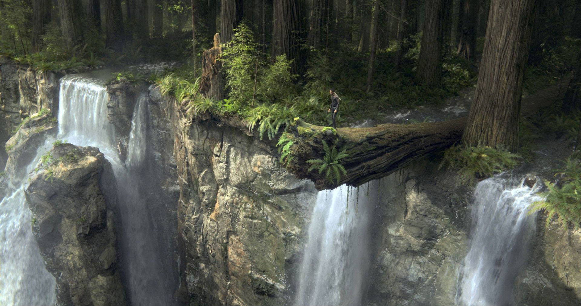 Végétation gigantesque dans le film After Earth.