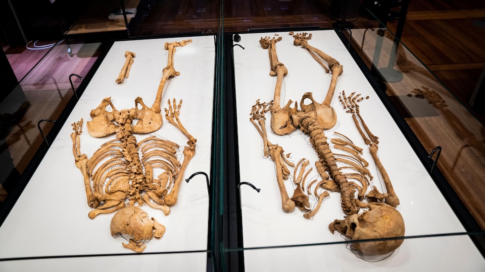 Viking à Oxford & viking à Copenhague: parents au deuxième degré