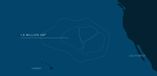 Vortex ou gyre subtropical Pacifique Nord : écosystème de déchets plastiques.